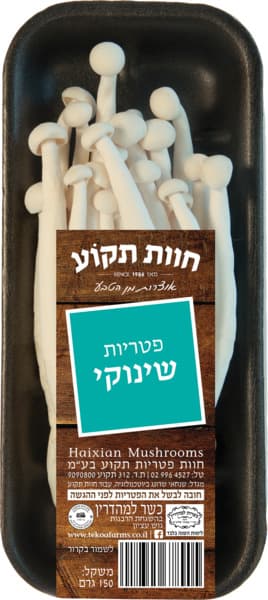 שיטאקי שינוקי טרי