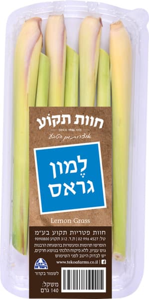 למון גראס