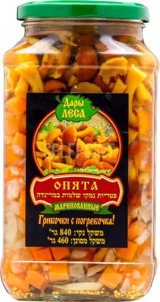 פטריות כבושות אופיאט