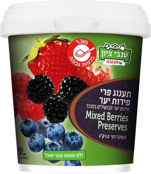 מעדן ענבי ציון פרי היער1.2 קג