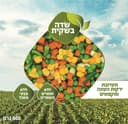 לקט ירקות העונה 800ג