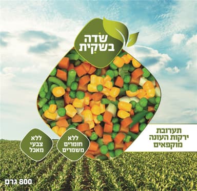 לקט ירקות העונה 800ג