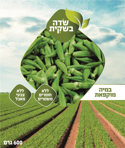 במיה רמילוי 600 גר