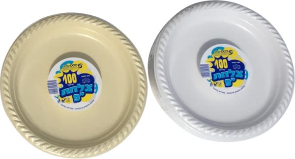 צלחת 9  גדולה צבעוני