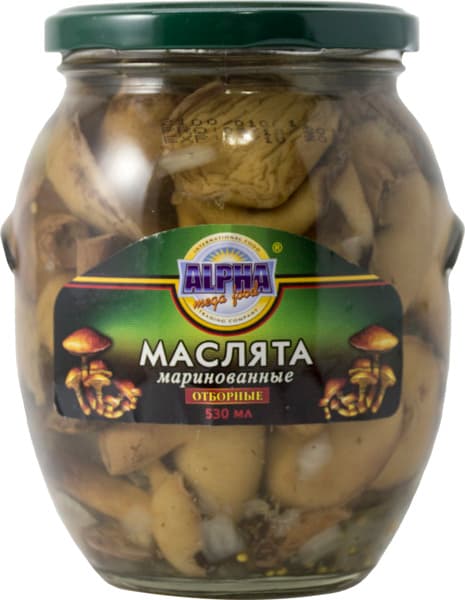 פטריות מאסליאטה מוחמ