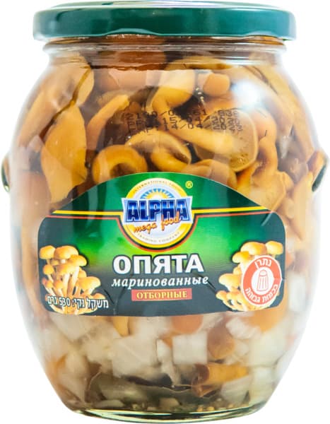 פטריות אופיאטה מוחמצ