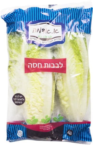 לבבות חסה בשקית א.אד