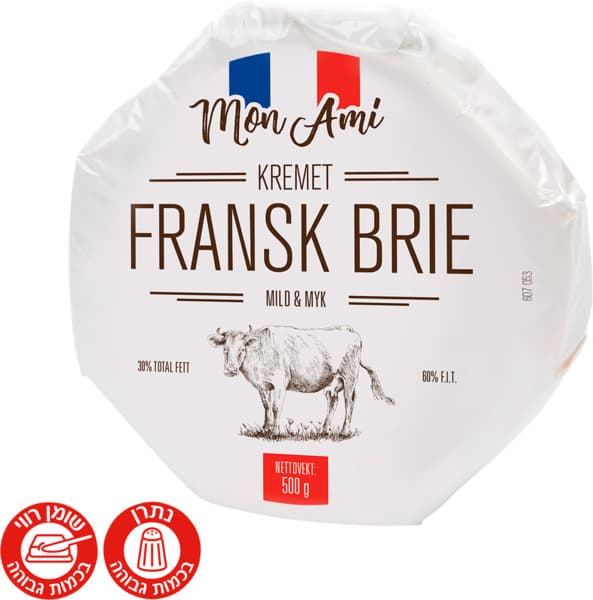 גבינה ברי צרפתי 500