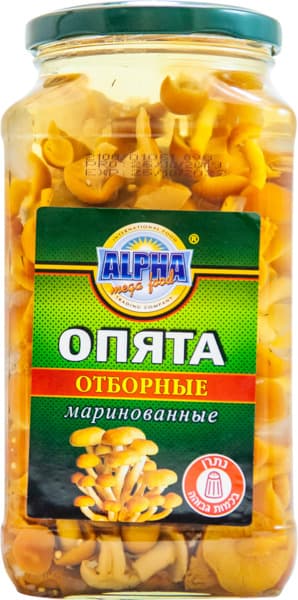 פטריות אופיאטה מוחמצ