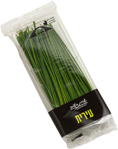 עירית בנספק שדות בעמ