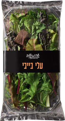 עלי בייבי שדות בעמק