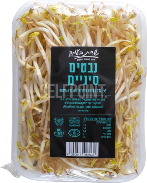 נבטים סינים שדות בעמ