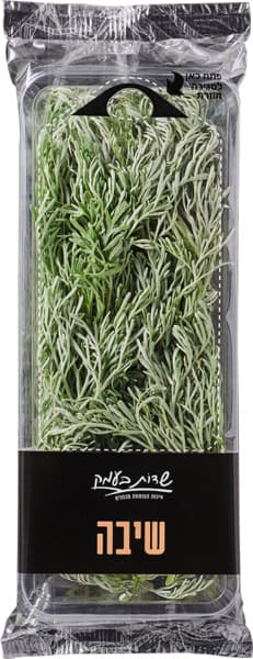 שיבה שדות בעמק