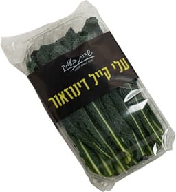 עלי קייל שדות בעמק