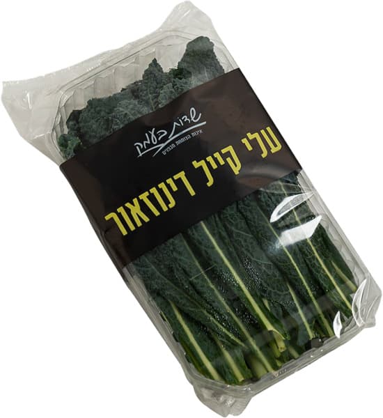 עלי קייל שדות בעמק