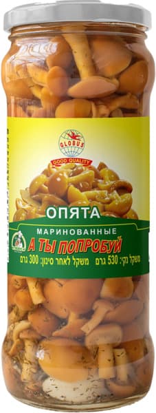 פטריות אופיטה בחומץ