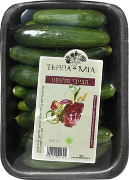 בייבי מלפפון