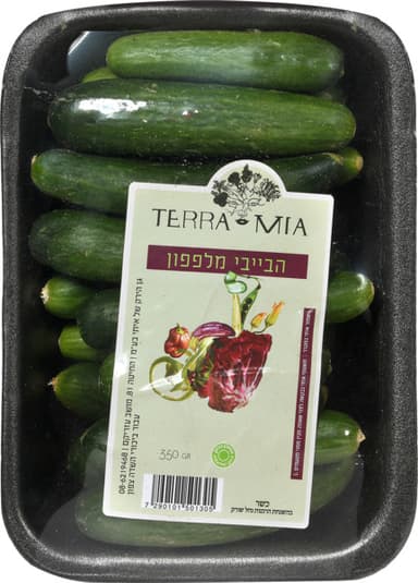 בייבי מלפפון