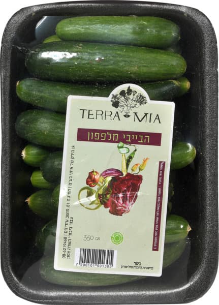 בייבי מלפפון