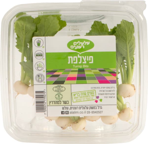 פיצלפת