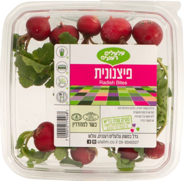 פיצנונית