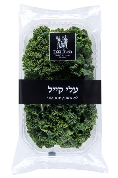 קייל ירוק