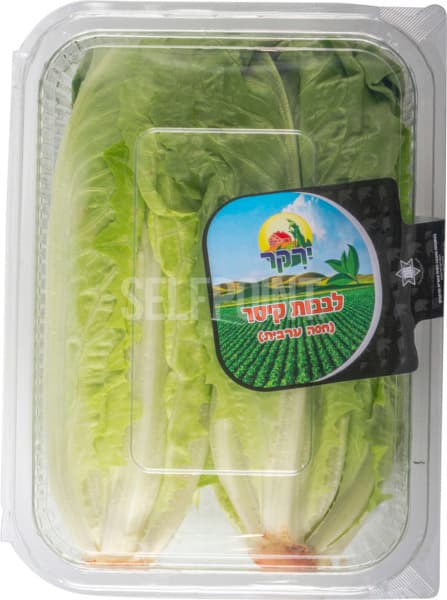 לבבות קיסר בנספק יחידה