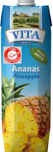 נקטר אננס 1 ליטר VITA