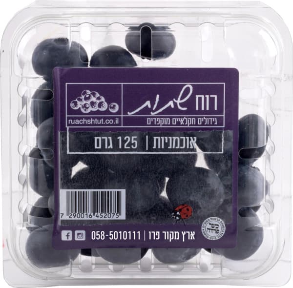 אוכמניות יבוא 125 גר