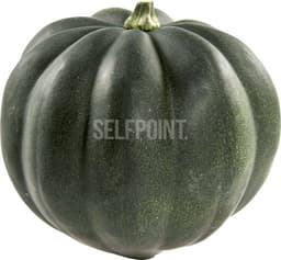 תחליף גבינה טילסיט ג