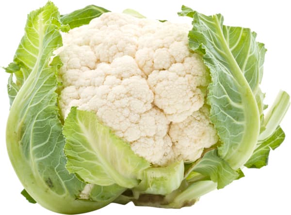 גבינה פקורינו גורמה