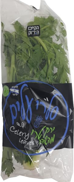 סלרי עלים ארוז