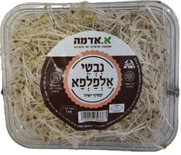 נבטי אלפלפא מרינה