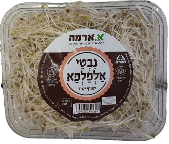 נבטי אלפלפא מרינה