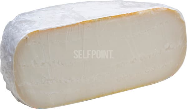 גאודה עיזים הולנדית