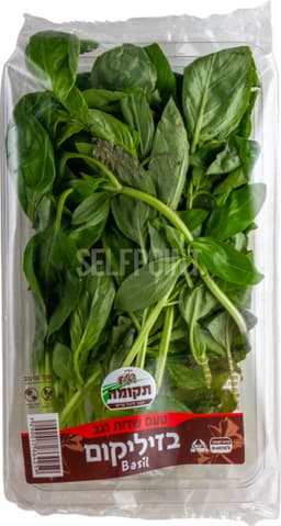 בזיליקום 100ג רמי לו