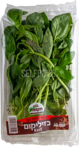 בזיליקום 100ג רמי לו