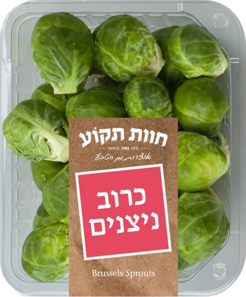 כרוב ניצנים ארוז חוו