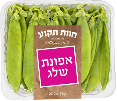 אפונת שלג