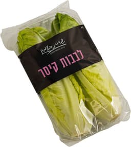 חסה לבבות