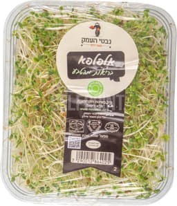 נבטי אלפלפא