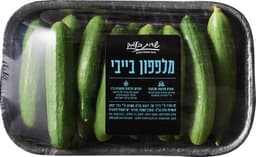 מלפפון בייבי "שדות בעמק"