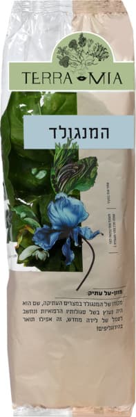 עליי מנגולד