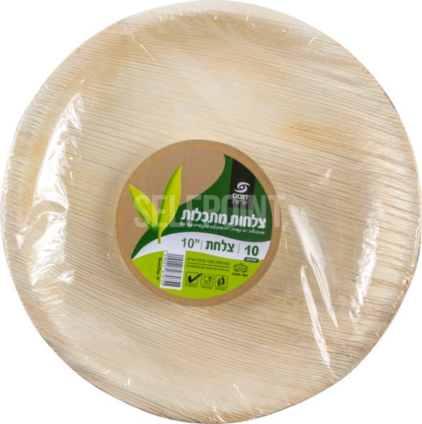 צלחת 10 ענקית   מתכל