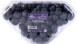 אוכמניות יבוא רוח שת