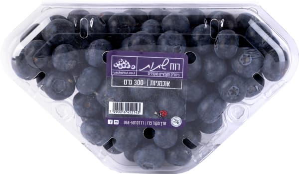 אוכמניות יבוא רוח שת