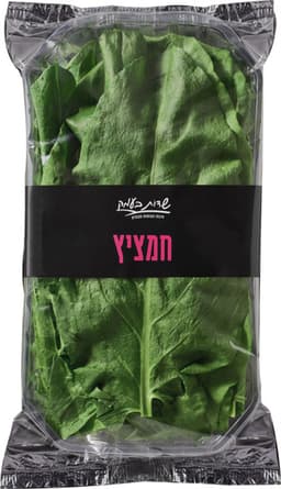 חמציץ שדות בעמק