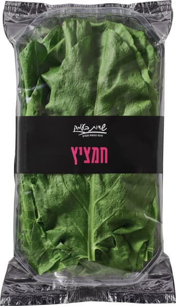 חמציץ שדות בעמק