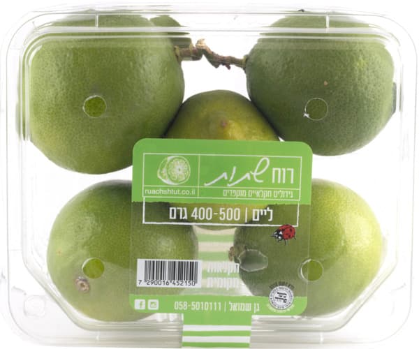 למון ליים רוח שתות ב