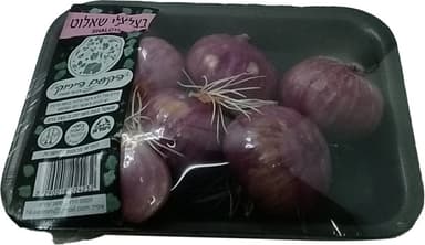 בצלצי שאלוט הקסם הירוק